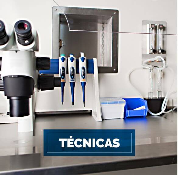 Conoce nuestras técnicas