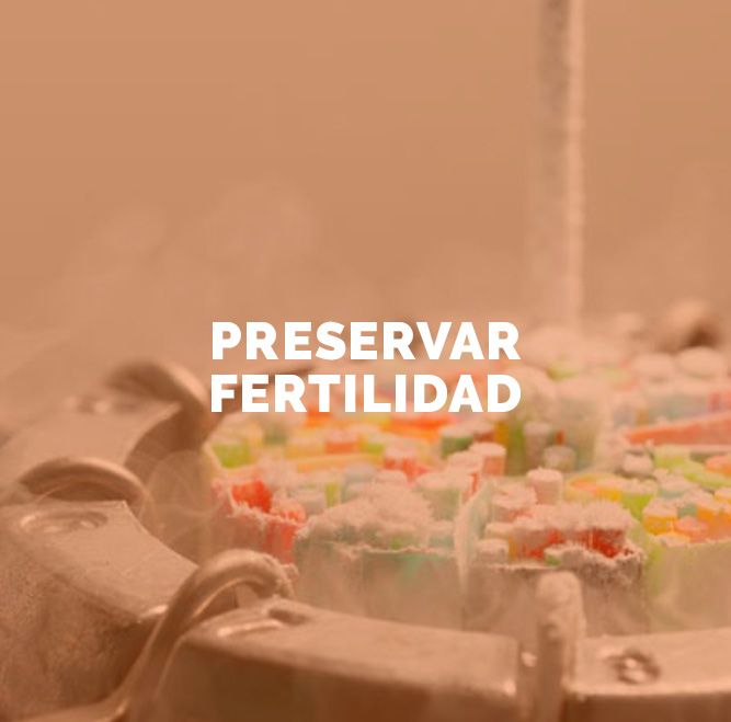 Preservación de la fertilidad